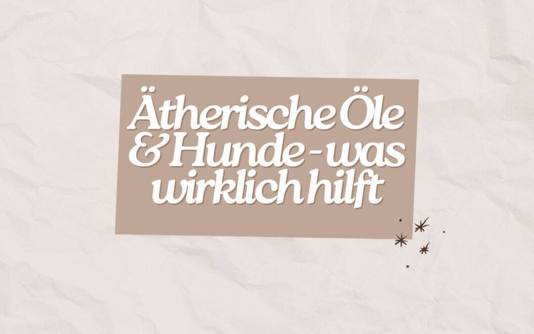 Ätherische Öle & Hunde: 7 Dinge, die du wirklich wissen musst