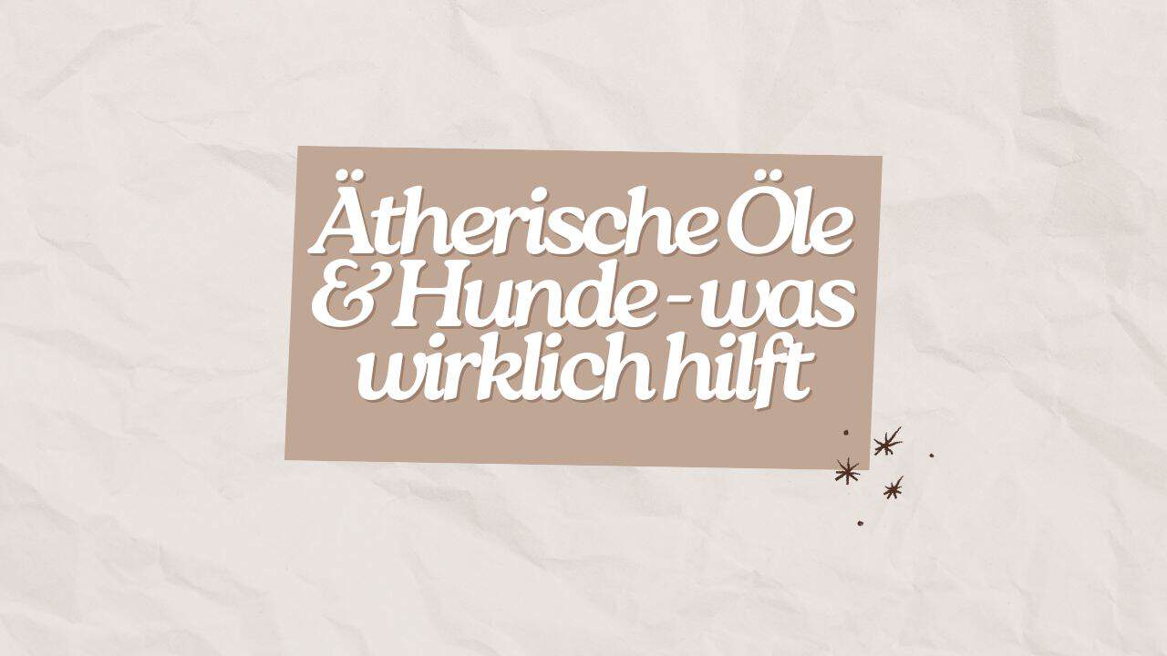 Ätherische Öle & Hunde: 7 Dinge, die du wirklich wissen musst